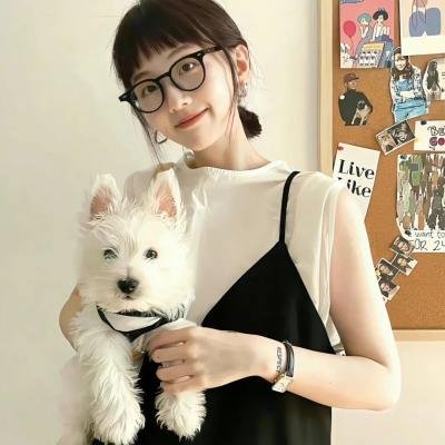 屏风美人
