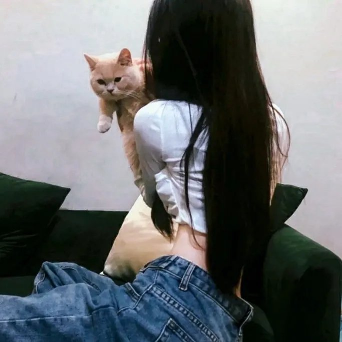 疯狂的背后