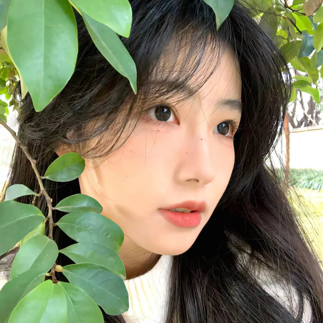 情陷特区粤语